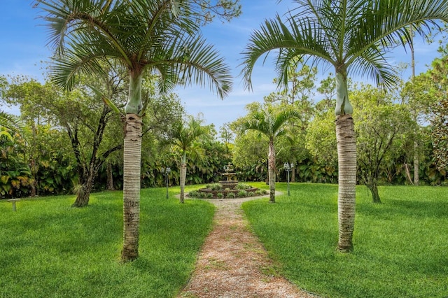 view of property's community featuring a yard