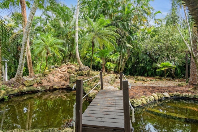 view of home's community with a boat dock