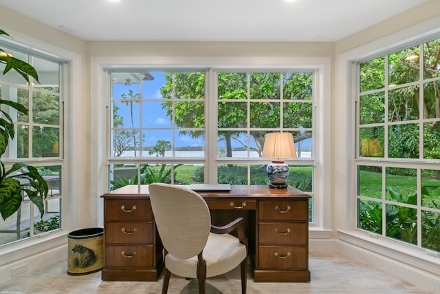 office area featuring a wealth of natural light