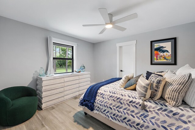 home office featuring ceiling fan and light hardwood / wood-style flooring