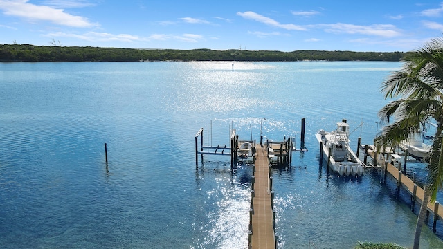 dock area featuring a water view