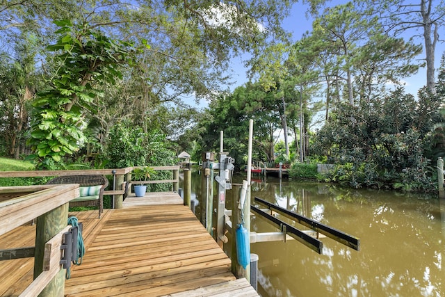 dock area with a water view