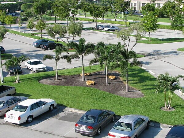 view of home's community featuring a lawn