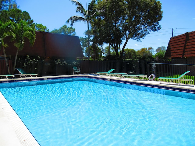 view of swimming pool