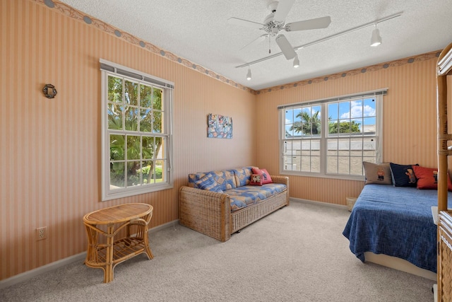 bedroom featuring a textured ceiling, track lighting, multiple windows, and ceiling fan