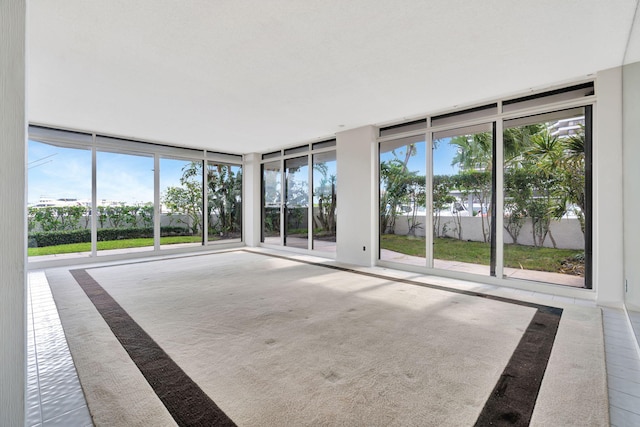 empty room with expansive windows and a healthy amount of sunlight