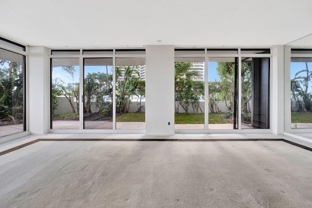 empty room with carpet and a wall of windows