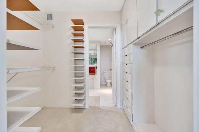 spacious closet featuring light colored carpet