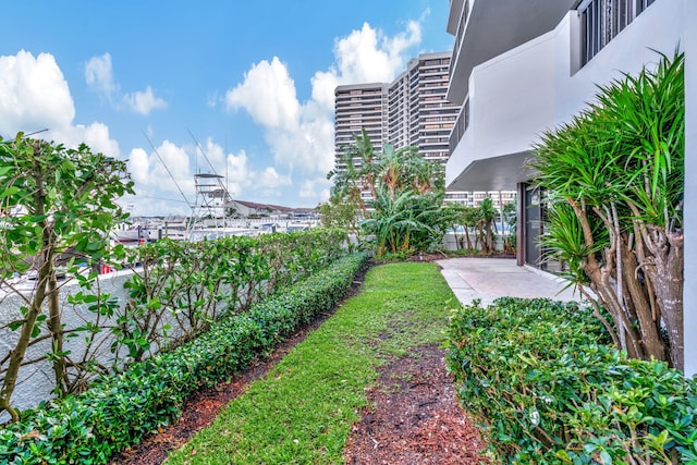 view of yard featuring a patio