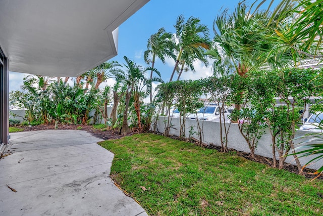 view of yard with a patio area