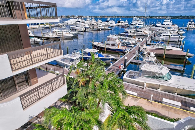 dock area with a water view