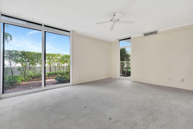 empty room with ceiling fan and plenty of natural light