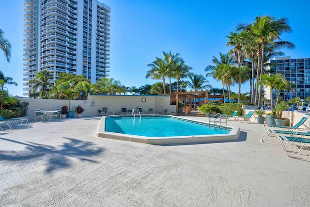 view of pool with a patio area