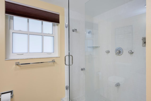 full bathroom with a stall shower