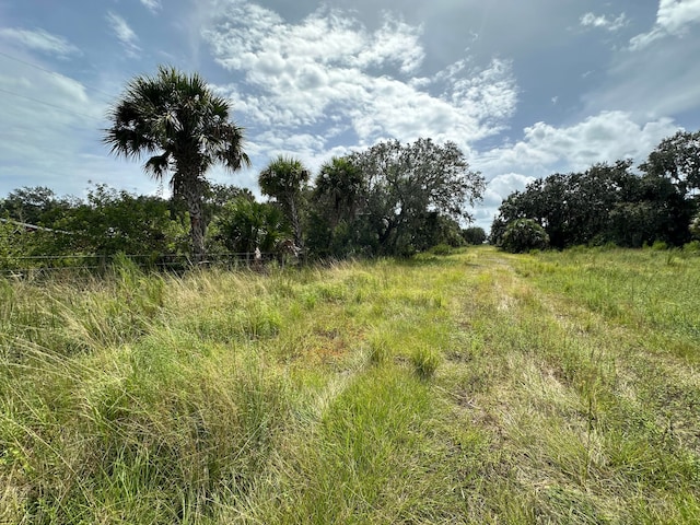 Listing photo 2 for 0 Fulford Camp Rd, Okeechobee FL 34974