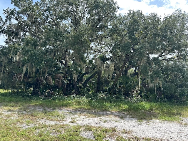 Listing photo 3 for 0 Fulford Camp Rd, Okeechobee FL 34974