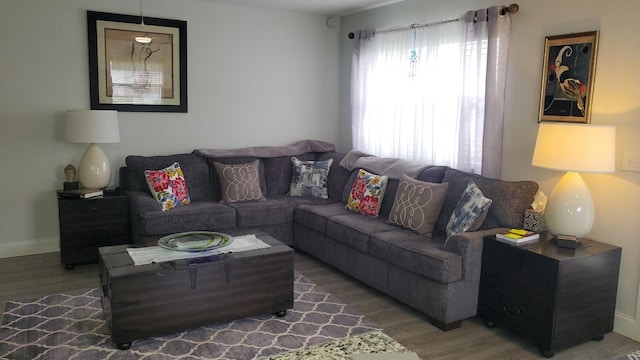 living room featuring dark wood-type flooring