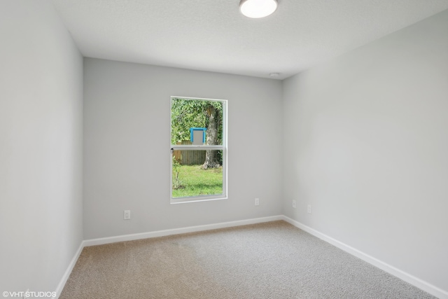 carpeted spare room featuring a wealth of natural light