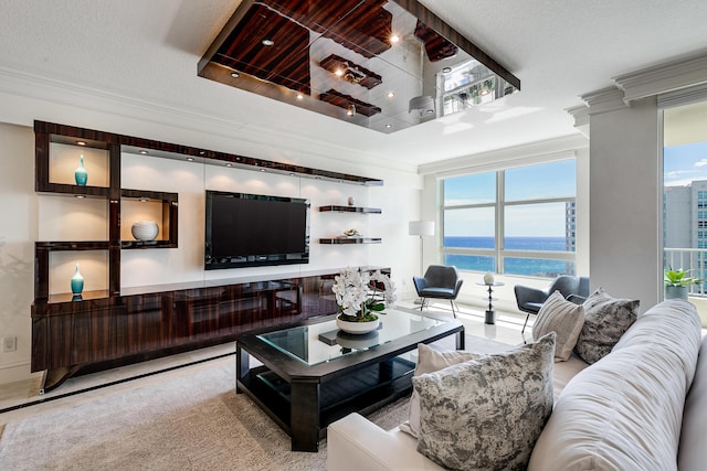 living area featuring ornamental molding and a textured ceiling