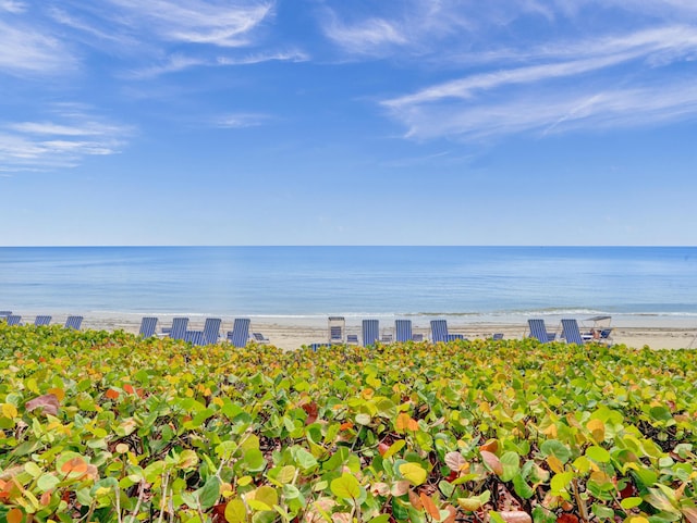 water view featuring a view of the beach