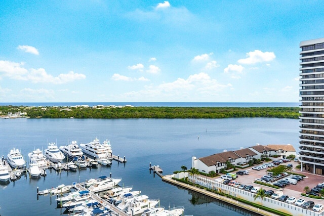 view of water feature featuring a boat dock