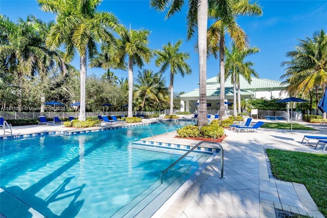 view of swimming pool featuring a patio area