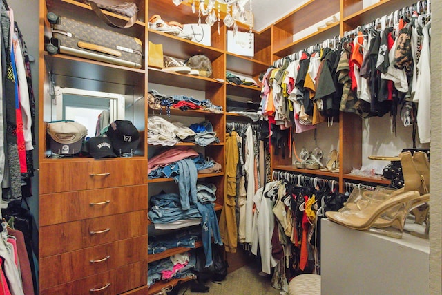 view of walk in closet