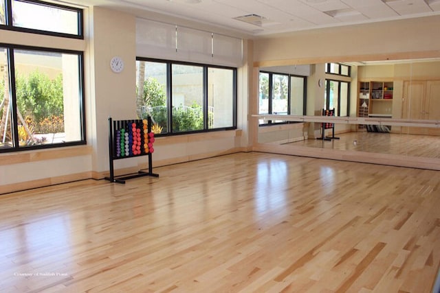 workout room with light hardwood / wood-style floors