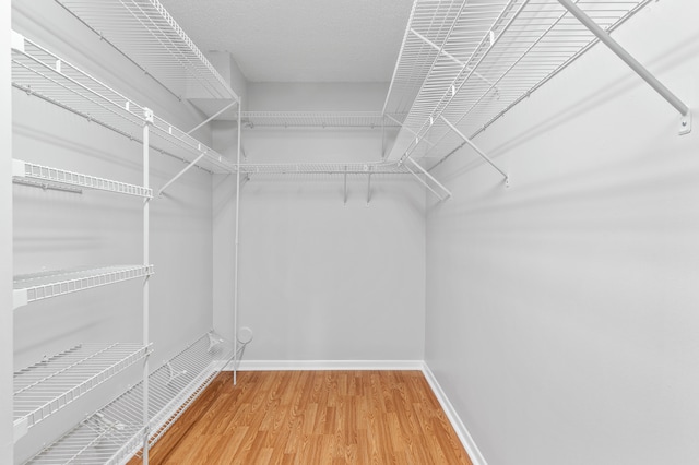 walk in closet with hardwood / wood-style floors