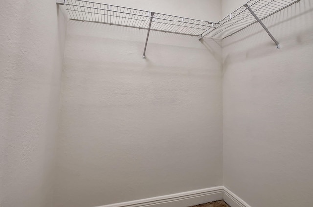 view of walk in closet