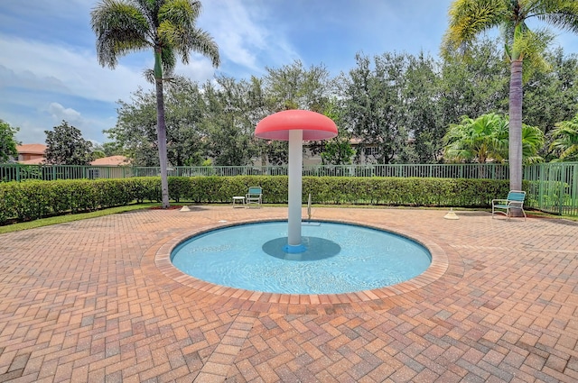 view of pool with a patio