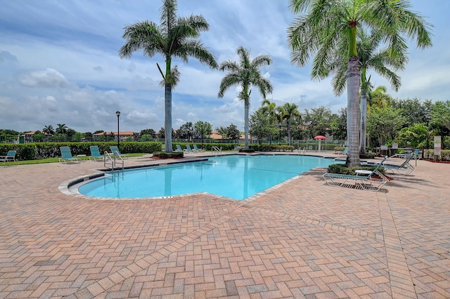 view of swimming pool featuring a patio area