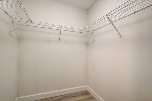 spacious closet featuring hardwood / wood-style floors