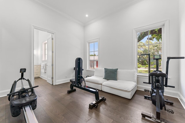 workout room with crown molding, dark hardwood / wood-style floors, and plenty of natural light