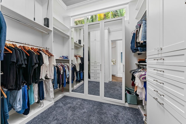 spacious closet with dark carpet