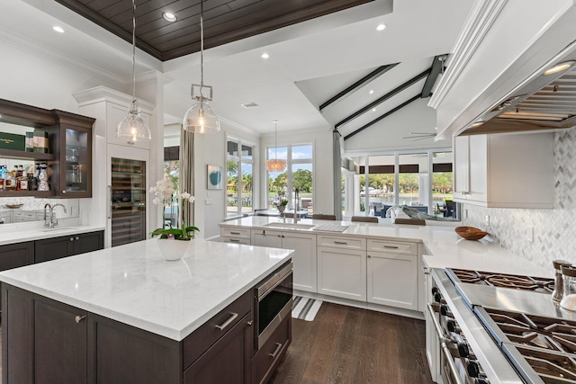 kitchen with dark hardwood / wood-style floors, dark brown cabinets, stainless steel appliances, premium range hood, and tasteful backsplash