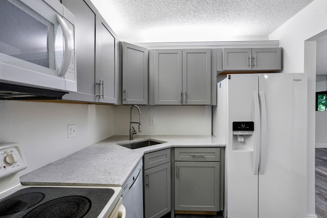 kitchen with sink, hardwood / wood-style floors, white appliances, and gray cabinets