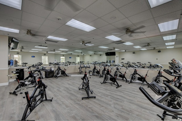 exercise room featuring ceiling fan, light wood-type flooring, and a paneled ceiling