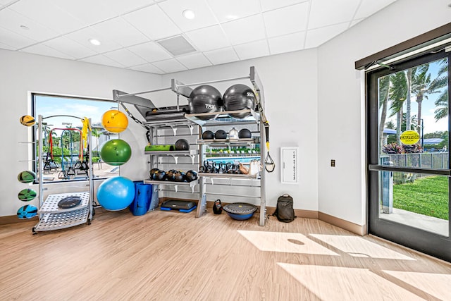 workout area featuring a drop ceiling and wood-type flooring