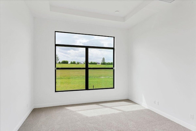 carpeted spare room featuring a tray ceiling