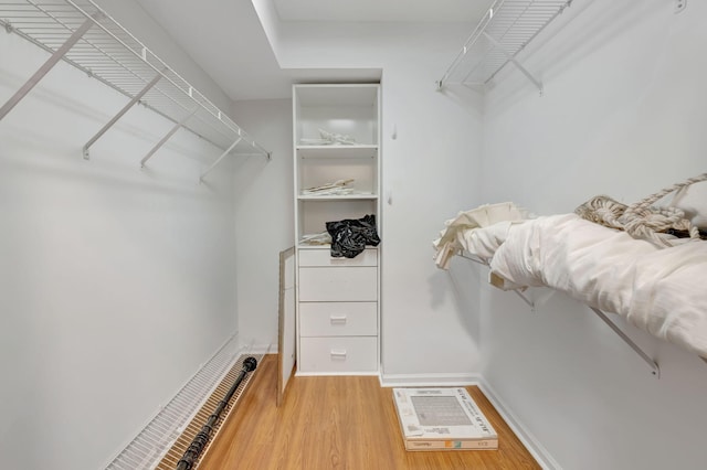 walk in closet featuring hardwood / wood-style flooring