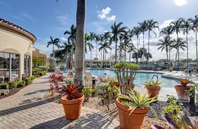 view of pool featuring a patio