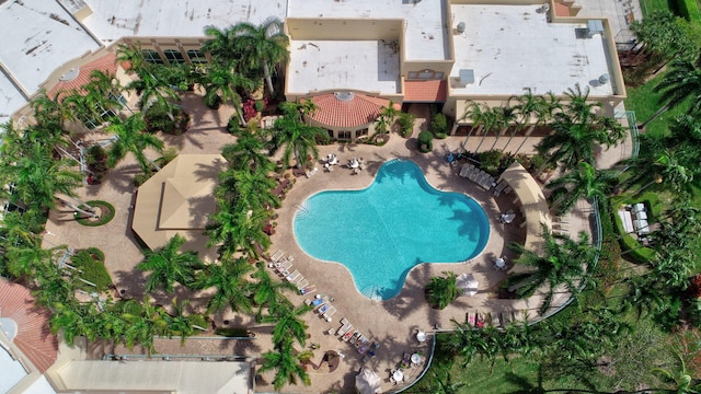 view of swimming pool featuring a patio area