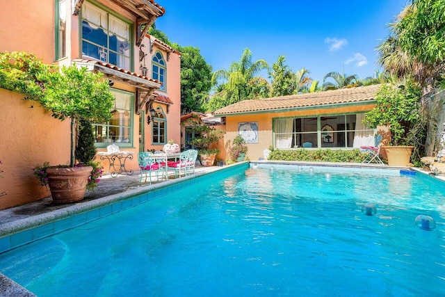 view of swimming pool featuring a patio