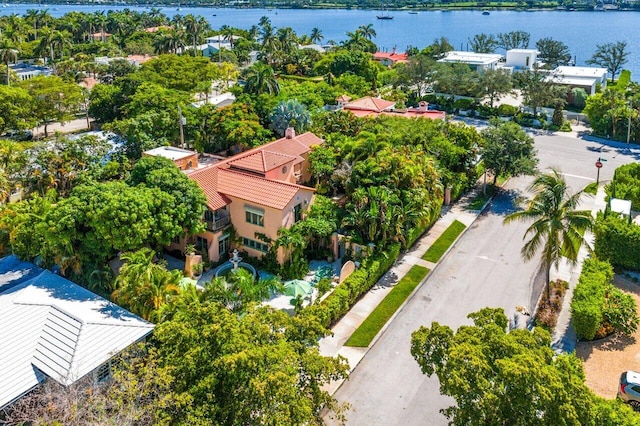 aerial view with a water view