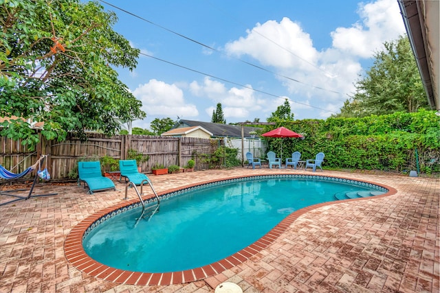 view of swimming pool featuring a patio