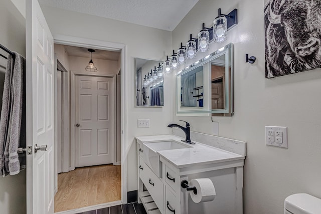 bathroom featuring toilet, vanity, and wood-type flooring