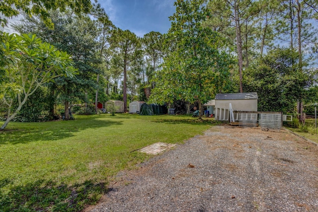 view of yard featuring a storage shed