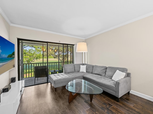 living room featuring hardwood / wood-style floors and crown molding