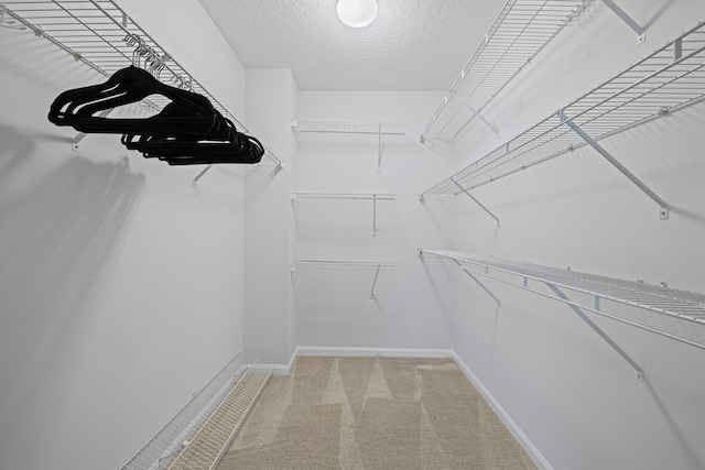 walk in closet with carpet floors